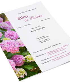 Roze hortensia