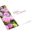 Roze hortensia