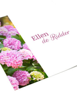 Roze hortensia