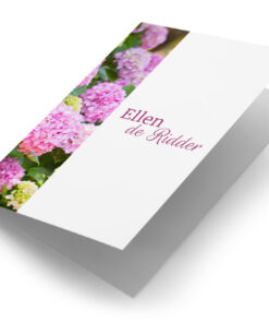 Roze hortensia