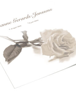 Witte roos sepia