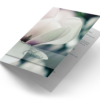 Magnolia Memory
