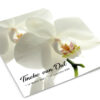 Witte Orchidee