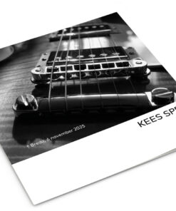 Gitaar