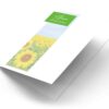 Zonnebloem 2023