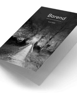 Brug in het bos