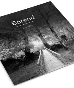 Brug in het bos