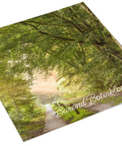 Nederlands bos