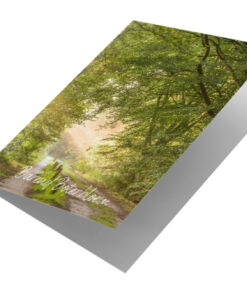 Nederlands bos