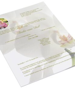 Witte Orchidee met foto