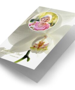 Witte Orchidee met foto