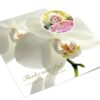 Witte Orchidee met foto