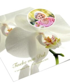 Witte Orchidee met foto