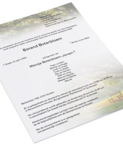 Park met zonnestralen