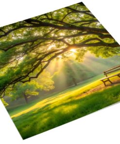 Park met zonnestralen