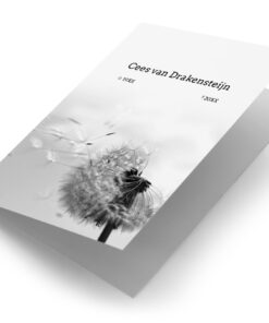 Paardenbloem zwart wit