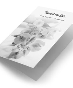 Orchidee zwart wit