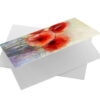 Aquarel rode papaver