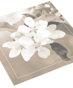 Bloesem sepia